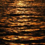 Soft light ripples on dark water surface